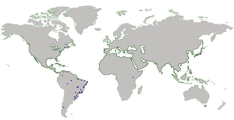 Mapa de participações - 1° E-ncontro da ABP